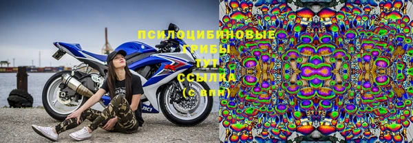 ешки Лиски