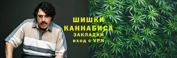 стаф Майский