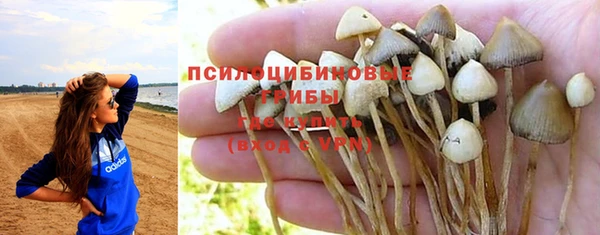 спиды Кулебаки