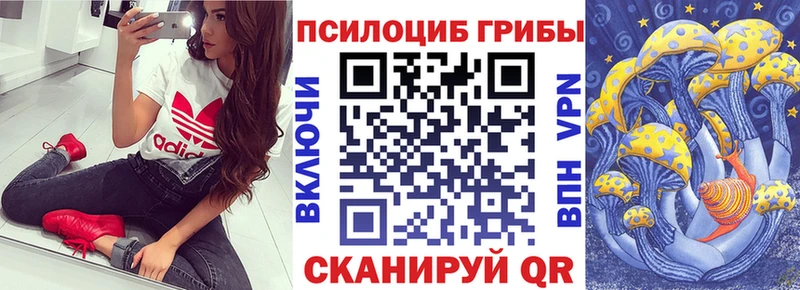 omg ССЫЛКА  Куса  Псилоцибиновые грибы MAGIC MUSHROOMS  площадка состав  магазин  наркотиков 